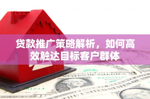 大丰贷款推广策略解析，如何高效触达目标客户群体