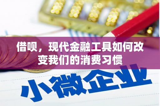 大丰借呗，现代金融工具如何改变我们的消费习惯