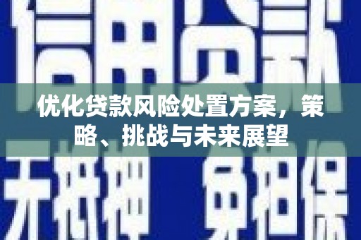大丰优化贷款风险处置方案，策略、挑战与未来展望