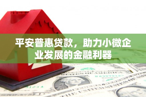 大丰平安普惠贷款，助力小微企业发展的金融利器