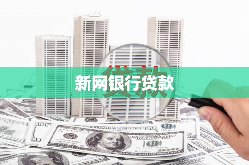 大丰新网银行贷款