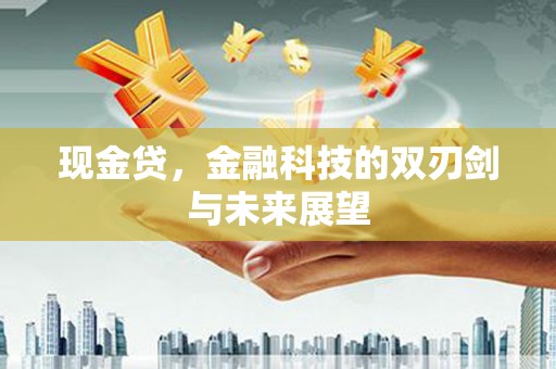 大丰现金贷，金融科技的双刃剑与未来展望
