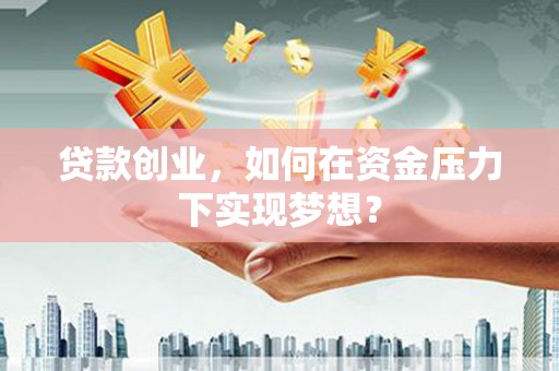 大丰贷款创业，如何在资金压力下实现梦想？