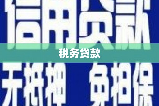 大丰税务贷款