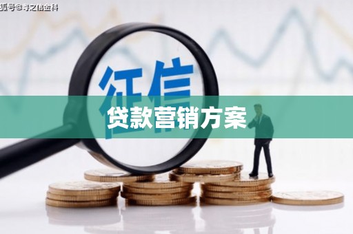 大丰贷款营销方案