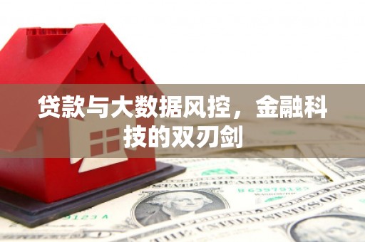 大丰贷款与大数据风控，金融科技的双刃剑