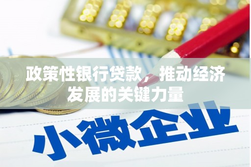 大丰政策性银行贷款，推动经济发展的关键力量