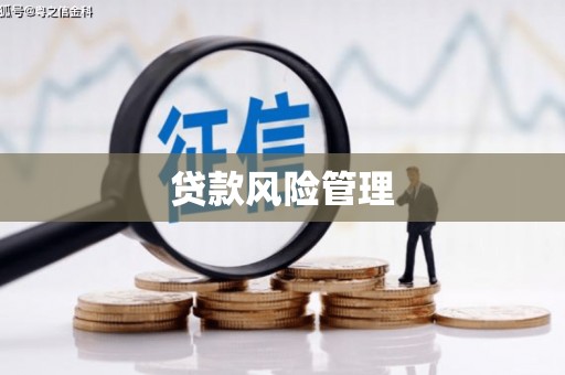 大丰贷款风险管理