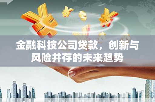 大丰金融科技公司贷款，创新与风险并存的未来趋势