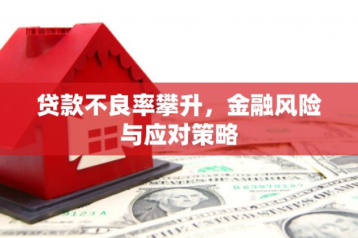 大丰贷款不良率攀升，金融风险与应对策略