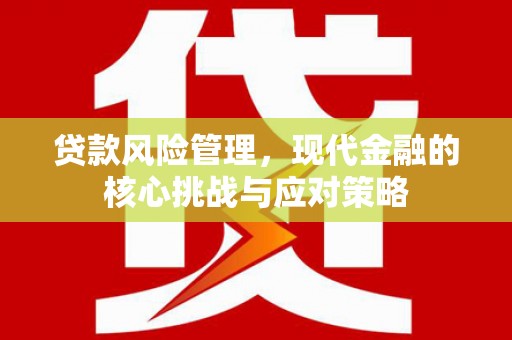 大丰贷款风险管理，现代金融的核心挑战与应对策略