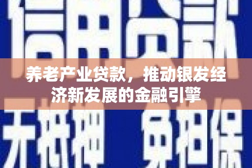 大丰养老产业贷款，推动银发经济新发展的金融引擎