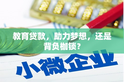大丰教育贷款，助力梦想，还是背负枷锁？
