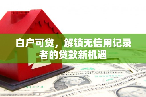 大丰白户可贷，解锁无信用记录者的贷款新机遇