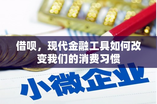 大丰借呗，现代金融工具如何改变我们的消费习惯