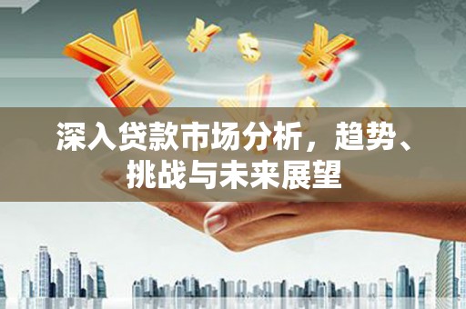 大丰深入贷款市场分析，趋势、挑战与未来展望