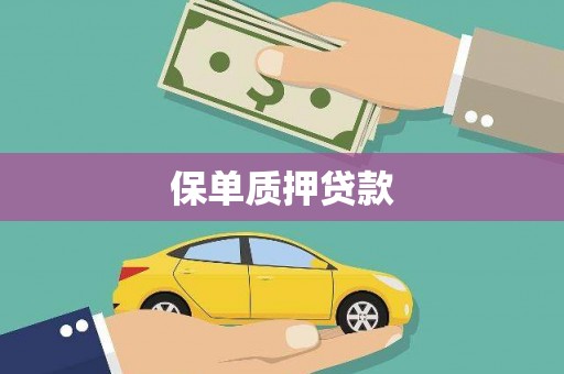 大丰保单质押贷款