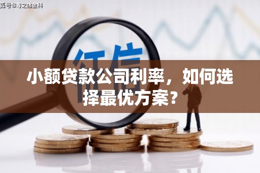 大丰小额贷款公司利率，如何选择最优方案？