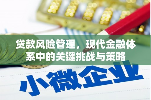 大丰贷款风险管理，现代金融体系中的关键挑战与策略