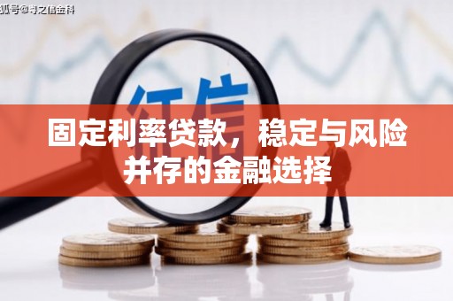 大丰固定利率贷款，稳定与风险并存的金融选择