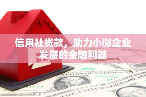 大丰信用社贷款，助力小微企业发展的金融利器