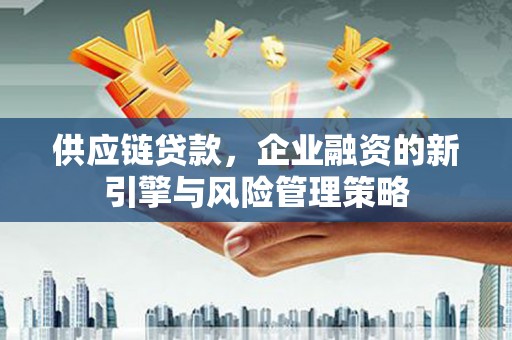 大丰供应链贷款，企业融资的新引擎与风险管理策略
