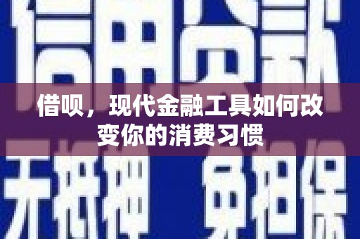 大丰借呗，现代金融工具如何改变你的消费习惯
