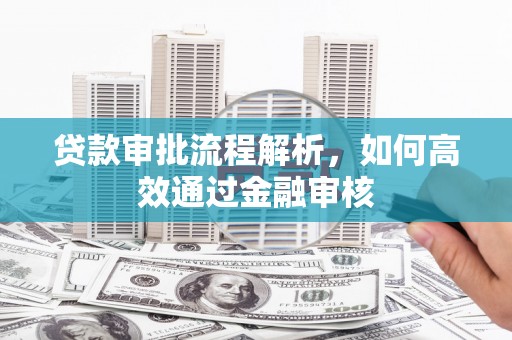 大丰贷款审批流程解析，如何高效通过金融审核