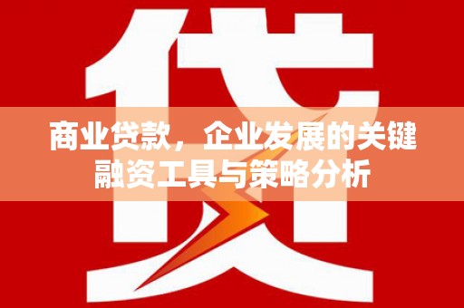 大丰商业贷款，企业发展的关键融资工具与策略分析
