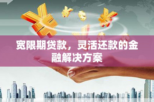 大丰宽限期贷款，灵活还款的金融解决方案