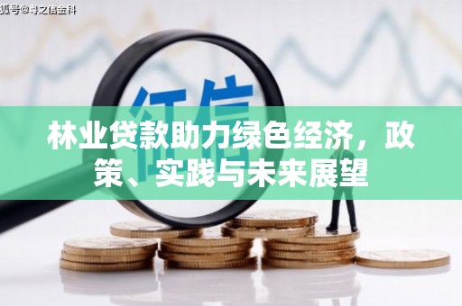 大丰林业贷款助力绿色经济，政策、实践与未来展望