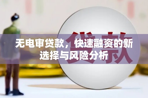 大丰无电审贷款，快速融资的新选择与风险分析