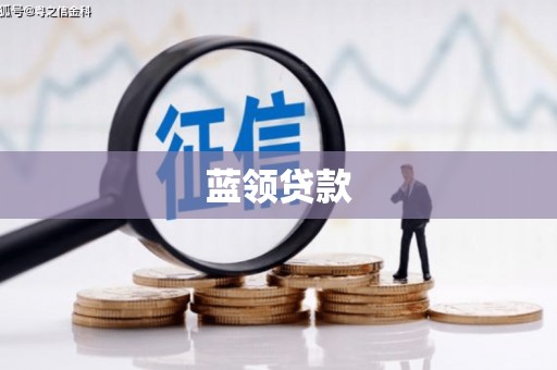 大丰蓝领贷款