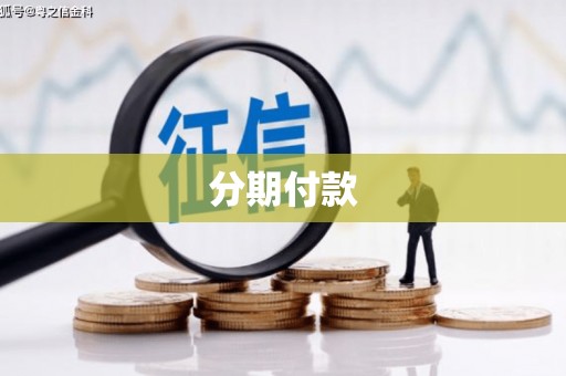 大丰分期付款