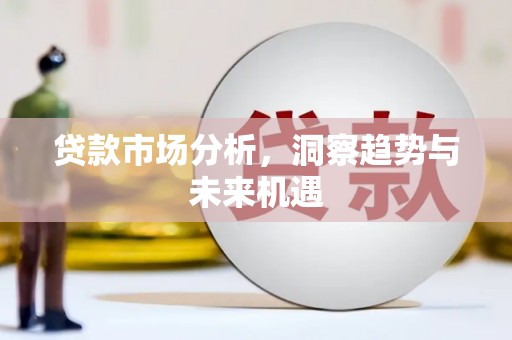 大丰贷款市场分析，洞察趋势与未来机遇