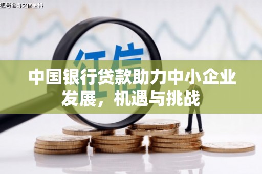 大丰中国银行贷款助力中小企业发展，机遇与挑战