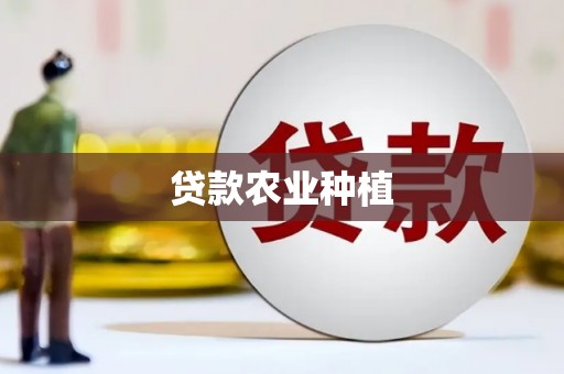 大丰贷款农业种植
