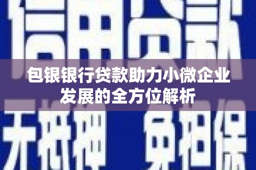 大丰包银银行贷款助力小微企业发展的全方位解析