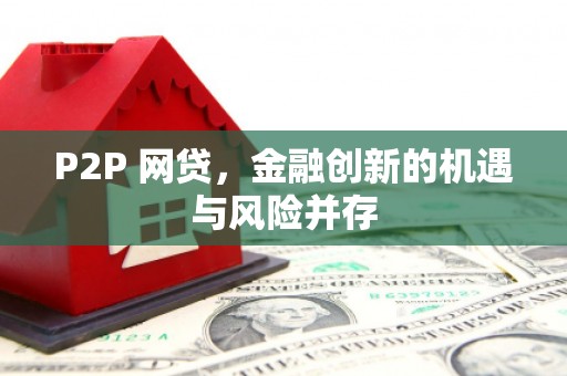 大丰P2P 网贷，金融创新的机遇与风险并存
