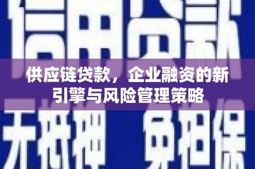 大丰供应链贷款，企业融资的新引擎与风险管理策略