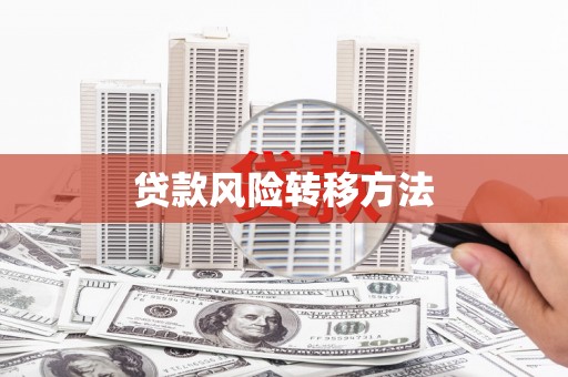 大丰贷款风险转移方法