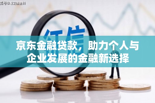 大丰京东金融贷款，助力个人与企业发展的金融新选择