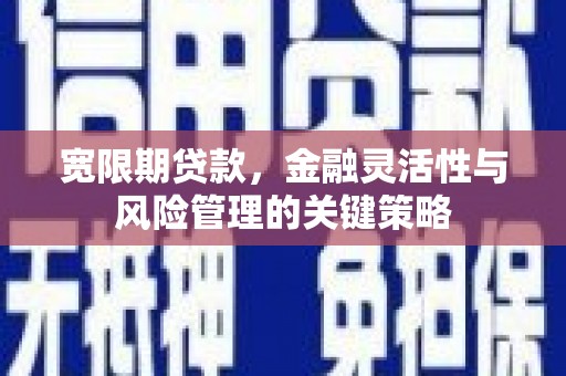 大丰宽限期贷款，金融灵活性与风险管理的关键策略
