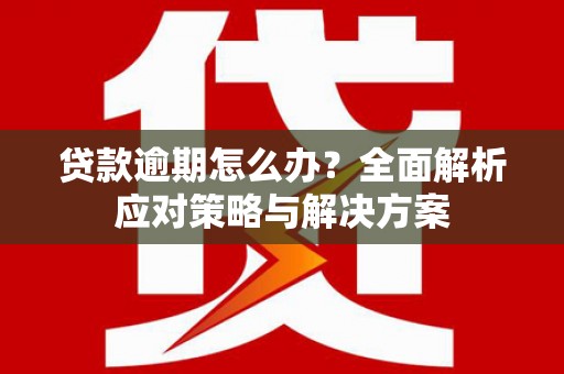 大丰贷款逾期怎么办？全面解析应对策略与解决方案