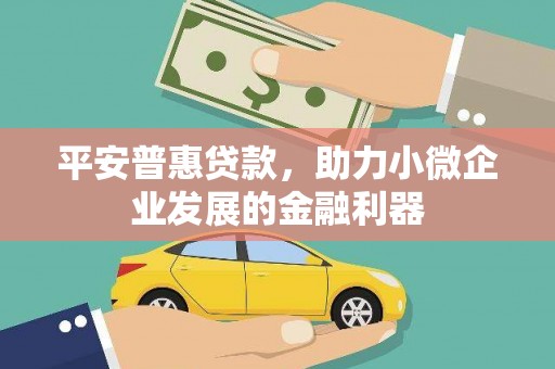 大丰平安普惠贷款，助力小微企业发展的金融利器