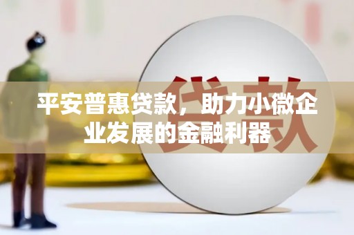 大丰平安普惠贷款，助力小微企业发展的金融利器