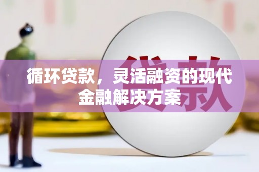 大丰循环贷款，灵活融资的现代金融解决方案