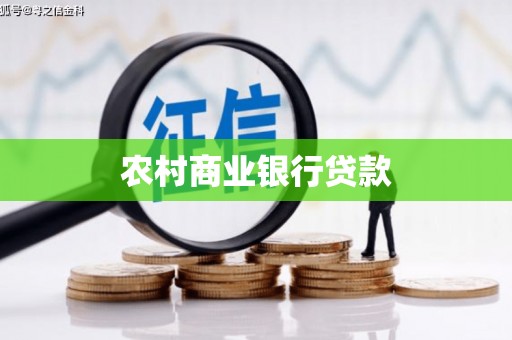 大丰农村商业银行贷款