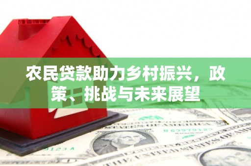 大丰农民贷款助力乡村振兴，政策、挑战与未来展望