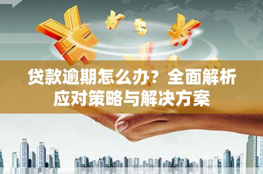 大丰贷款逾期怎么办？全面解析应对策略与解决方案